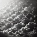 PDIZZY - no flockin x sweater weather (tiktok version)