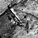 Martlittlestar - Love my dear ()