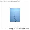 Sleep BGM Mindfulness - Intimate Moments in the Realm of Awareness (Original Mix)