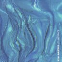 Kim Martins - Fluida