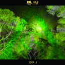 Blau Transition - Divine Realms
