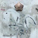 Fleep - Express system (Original Mix)