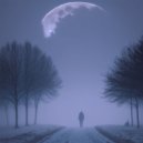 HumManCo. - SnowFall ()