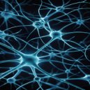 Pryanya - Pulse Nova ()