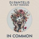 DJ Pantelis, Fey Kross - In Common