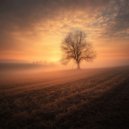 Sofia Hendriks - Selestia ()