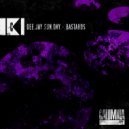 Dee.Jay.Sun.Day. - Wrong Way