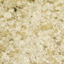 Tony Hoffman - Ellen