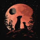 Laura Pausini - Verwonderen ()