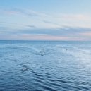 Neva - Motives of the soul (extended mix)