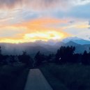 Cobey Bienert - Out of Sorts