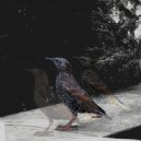 Craig King - III. Loud noises and color correction. ()