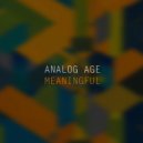 Analog Age - Meaningful (Radio Edit)
