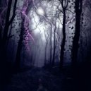 Tim\'s-Thunder - Evening sunset ()