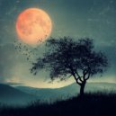 Lotte Brouwer - Paden