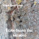 Илья Дмитриев - ЕСЛИ БЫЛО БЫ МОЖНО ()
