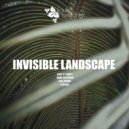 Invisible Landscape - Colors