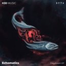 Echomatics - Shine Back ()