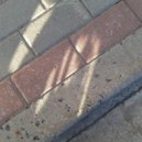 Трилари - SAD BIRTHDAY PARTY ()