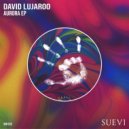 David Lujaroo - Rosenbachiana (Original Mix)