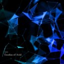 TourerDJ - Exodus of Acid