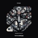 Stanui - Ansewerese (Original Mix)