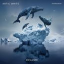 Artic White, Ilarya - Drift Above (Extendet Mix)