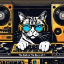 The Kat - In the face of it (Extended)