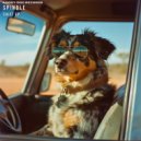 Sp!ndle - Shifting Gears