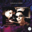 EVOLUCIJA ZVUKA - Mandella Effect ()