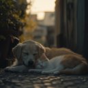 Calm Solitude & Calm Pet Music & Calm Pet Sounds - Soothing Notes for Happy Pets ()