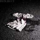 Vitamin Edward - Dein Blut