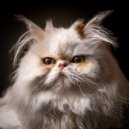 Barba de calma & Academia de Música para Gatos & Banda Sonora para Gatos - Suaves Patas Sobre Las Teclas ()
