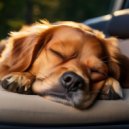 Naturaleza apacible & Paz total para animales & Calma profunda en criaturas - Las Mascotas Se Relajan Con Sonidos Suaves