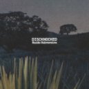 Discknocked - Quadrature (Original Mix)