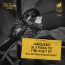 Mariusso - I Know the Future (Original Mix)