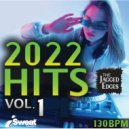 The Jagged Edges - Music Means Love Forever