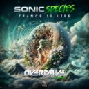 Sonic Species - Trance Is Life (Overdrive (PSY) Remix)
