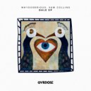WHYSOSERIOUS & Sam Collins - DALE (Original Mix)