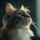 Background Music for Videos & Acoustic Music For Cats & Amazing Music for Cats - Cat Calm Harmonies ()