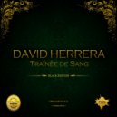 David Herrera - Traînèe de Sang (Original Mix)