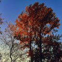 greensnake - Broken ()