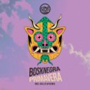 Bosknegra - Primavera (Hallex M Remix)