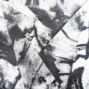 Linea Aspera - Mycelium ()