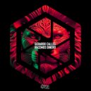 Gerardo Calles - Hacemos Dinero ()