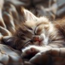 Gracia asombrosa & Relajación Musical para Gatos & Sueños Felinos - Vibraciones Relajantes Para Gatos ()