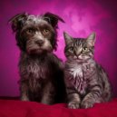 Música tranquila para la cena & Melodía especial para criaturas & Terapia sonora para el alma animal - Armonías Calmantes De Mascotas ()