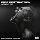 Bios Destruction - Sky Fighter (Original Mix)