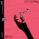 Zevid - Dumb Melancholic Connection ()