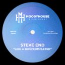 Steve End - Completed